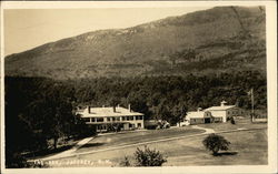 The Ark Jaffrey, NH Postcard Postcard Postcard