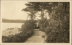 View of Lake East Rindge, NH Postcard Postcard Postcard