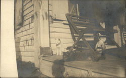 Two White Cats on Porch Postcard