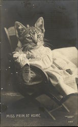 Miss Prim at Home Cats Postcard Postcard Postcard