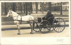 Man in Horse Drawn Carriage Postcard