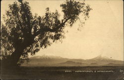 Popocatepetl e Ixtagginhuatl Mexico Postcard Postcard Postcard