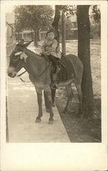 Child on Donkey Children Postcard Postcard Postcard