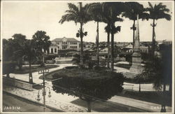 Garden Bahia, Brazil Postcard Postcard Postcard