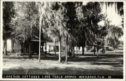 Lakeside Cottages by Lake Tsala Apopka Postcard