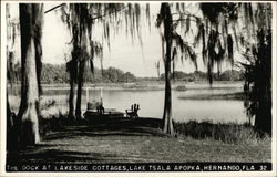 Teh Dock at Lakeside Cottages, lake Tsala Apopka Postcard