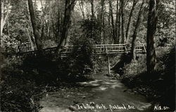 Lithia Park Ashland, OR Postcard Postcard Postcard