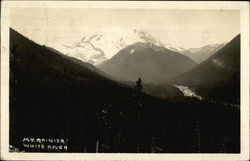 View of Mount Ranier and the White River Yakima, WA Postcard Postcard Postcard