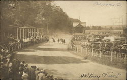 Harness Race Whitney Point, NY Postcard Postcard Postcard