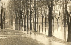 Flooded Residences on Jefferson Street Harrisburg, PA Postcard Postcard Postcard