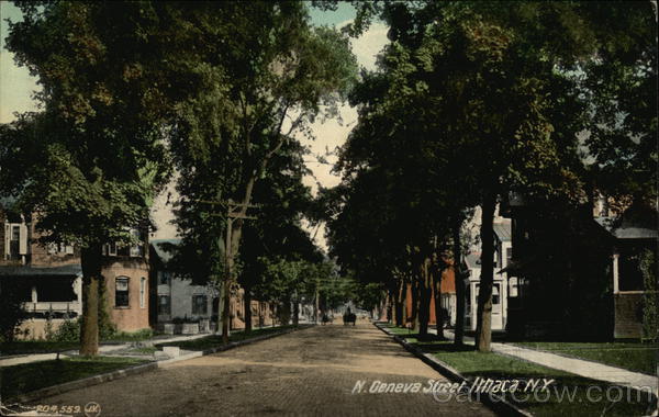 North Geneva Street Ithaca, NY Postcard