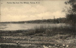 Aurora Bay from The Willows New York Postcard Postcard Postcard