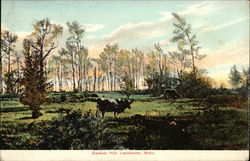 Gardner Hill Leominster, MA Postcard Postcard Postcard