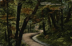 Goldwin Smith Walk, Cornell University Campus Ithaca, NY Postcard Postcard Postcard