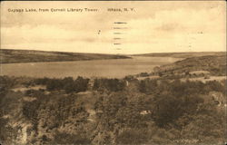 Cayuga Lake from Cornell Library Tower Postcard