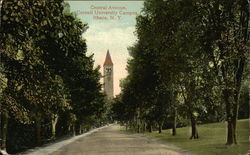 Central Avenue, Cornell College and Campus Ithaca, NY Postcard Postcard Postcard