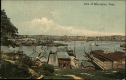 View of Town Postcard