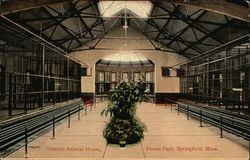 Interior Animal House, Forest park Springfield, MA Postcard Postcard Postcard