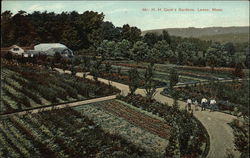 Mr. H.H. Cook's Gardens Lenox, MA Postcard Postcard Postcard