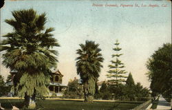 Private Grounds, Figueroa Street Postcard