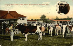 Judging Prize Cattle Brockton, MA Postcard Postcard Postcard