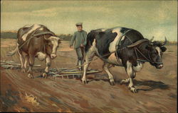 Plowing with Oxen Farming Postcard Postcard Postcard