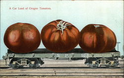 A Car Load Of Oregon Tomatoes Exaggeration Postcard Postcard Postcard