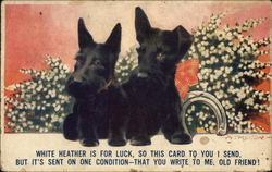 Two Cute Dogs Postcard Postcard Postcard