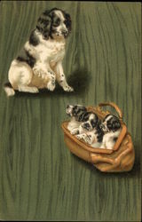 Black and White Dog With Three Pups In A Purse Postcard