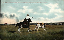 Roping Cattle by Chas. B. Irwin Postcard