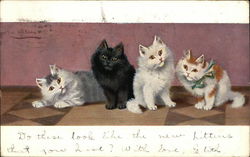 Four Cute Kittens Postcard