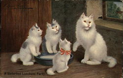 Four Kittens Having Lunch! Postcard