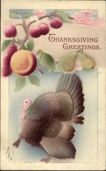 Thanksgiving Greetings Turkeys Postcard Postcard Postcard