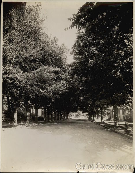 H Street 16th & 17th Rare Original Photograph Sacramento California