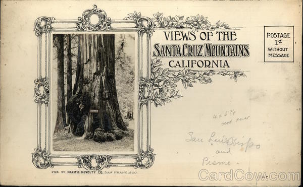 Views of the Santa Cruz Mountains Original Art California