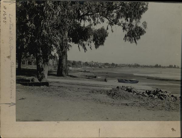 Low Tide Bay Shore Rare Original Photograph Layout Board #1695 Alameda California