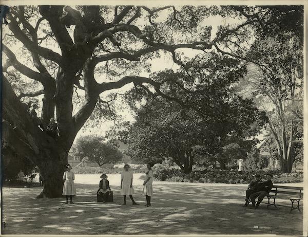 Children at Lincoln Park Rare Original Photograph Alameda California