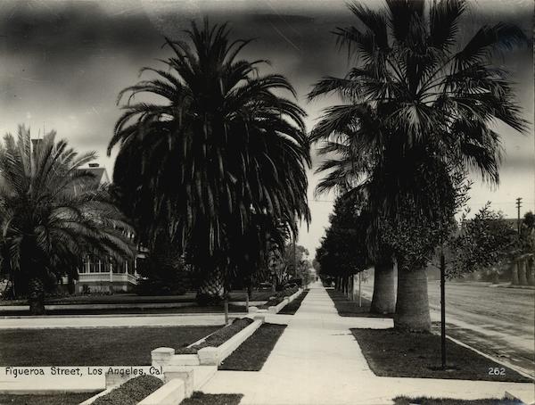 Figueroa Street Rare Original Photograph #262 Los Angeles California