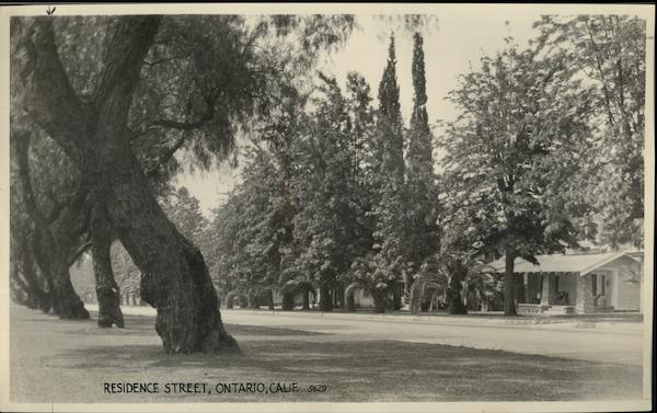 Euclid Avenue Rare Original Photograph #5629 Ontario California