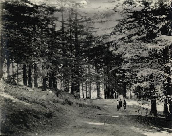 Rare Original Photograph Oakland California