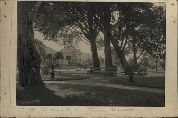 A Bit of the Park Rare Original Photograph Alameda California