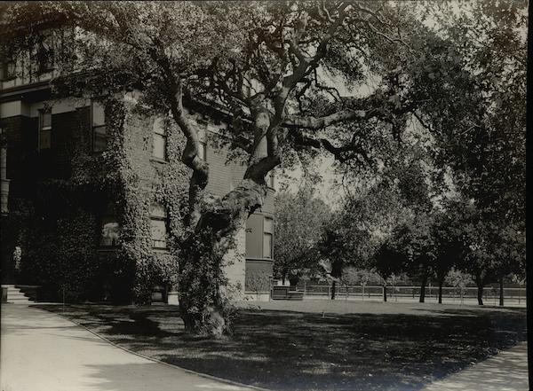 Residence of Frederik van Sicklen Rare Original Photograph Alameda California