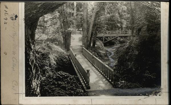 Walkway Through Mills College Oakland California