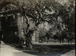 Residence of Frederik van Sicklen Rare Original Photograph Alameda, CA Original Photograph Original Photograph Original Photograph