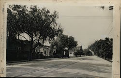 North Los Robles Ave & Maryland Bungalows Rare Original Photograph Pasadena, CA Original Photograph Original Photograph Original Photograph