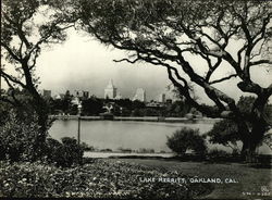 Lake Merritt Original Photograph