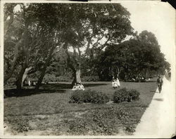 Children Under the Oaks in De Fremery Park Oakland, CA Original Photograph Original Photograph Original Photograph