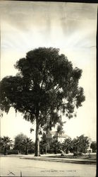 Corner of Central and Park Avenues Alameda, CA Original Photograph Original Photograph Original Photograph