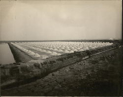 Salt Works Redwood City, CA Original Photograph Original Photograph Original Photograph