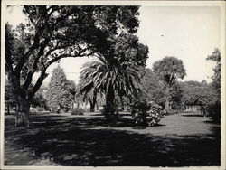 Madison Square Oakland, CA Original Photograph Original Photograph Original Photograph